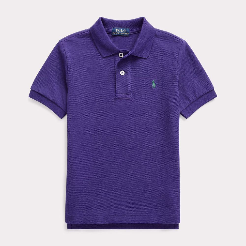 NWOT Polo Ralph Lauren Little Boys Mesh Polo Shirt Purple Pony Green $49 Size 4